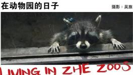 �麣��Ӱ�ٳ��� ƽң��չ������