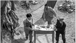 ��ʵ��Ӱ�Ĺ��������Σ�����