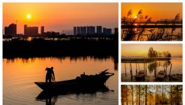 ��������ʪ�ء�Ʒ����ɽˮ�������������ʪ�ع�԰��Ӱ������ѡ����