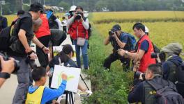 ����Ӱ��塱��Ӱ�ƻ���̡ɽ