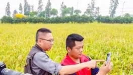 �麣��Эʵʩ����Ӱ��塱��Ӱ�ƻ�������Ч