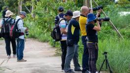 �����Ӱ��������������