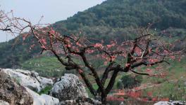 ��������������Ӱ�ҡ���ů��������Ӱ���������