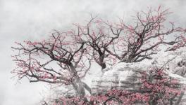 �麣��4λŮ��Ӱ����Ʒ����ͼ����ղ�