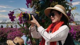 ��Ա��ɽ���ܴ��ɷ�