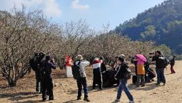 ���ͬ�� ����Ѱ÷