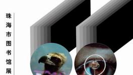 ���ܽ�����Ӱ���������������й⡱�¼�ʵ��Ӱչ�������鿪չ