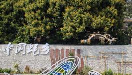 �麣����Ӱ��Э��ŷ����������Ȼ�Ա���á��й���硱�ɷ�