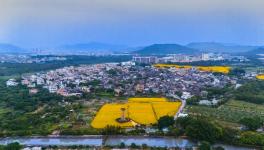 ����Ӱ���-��Ӱ�ƻ�����پ���